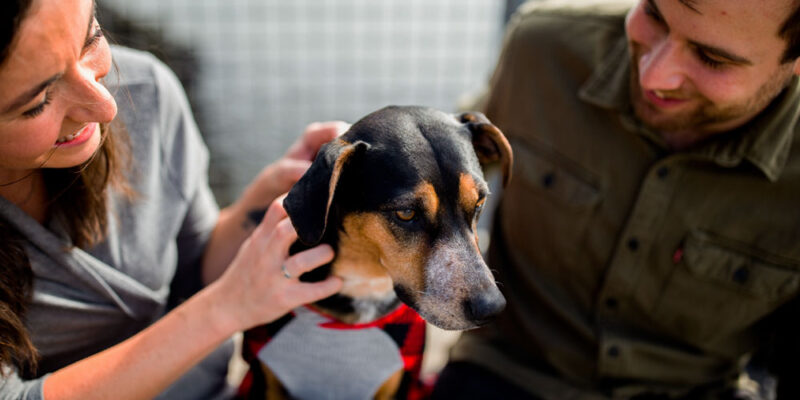 couple with rescue dog